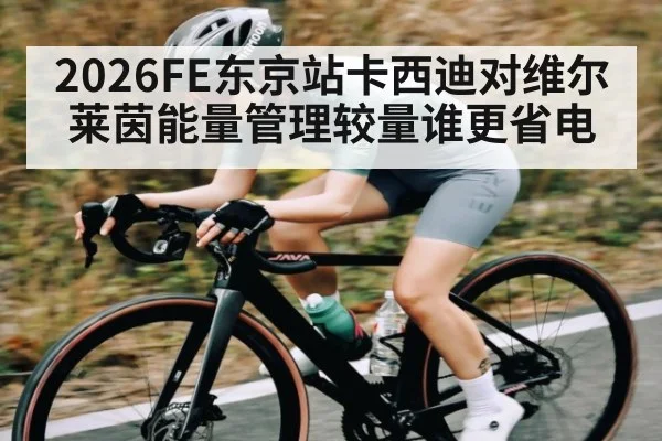 2026FE东京站卡西迪对维尔莱茵能量管理较量谁更省电